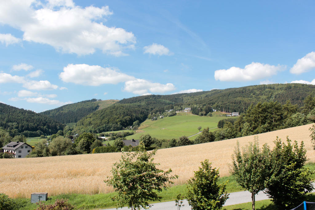 Ferienwohnung Emde Willingen  Kültér fotó